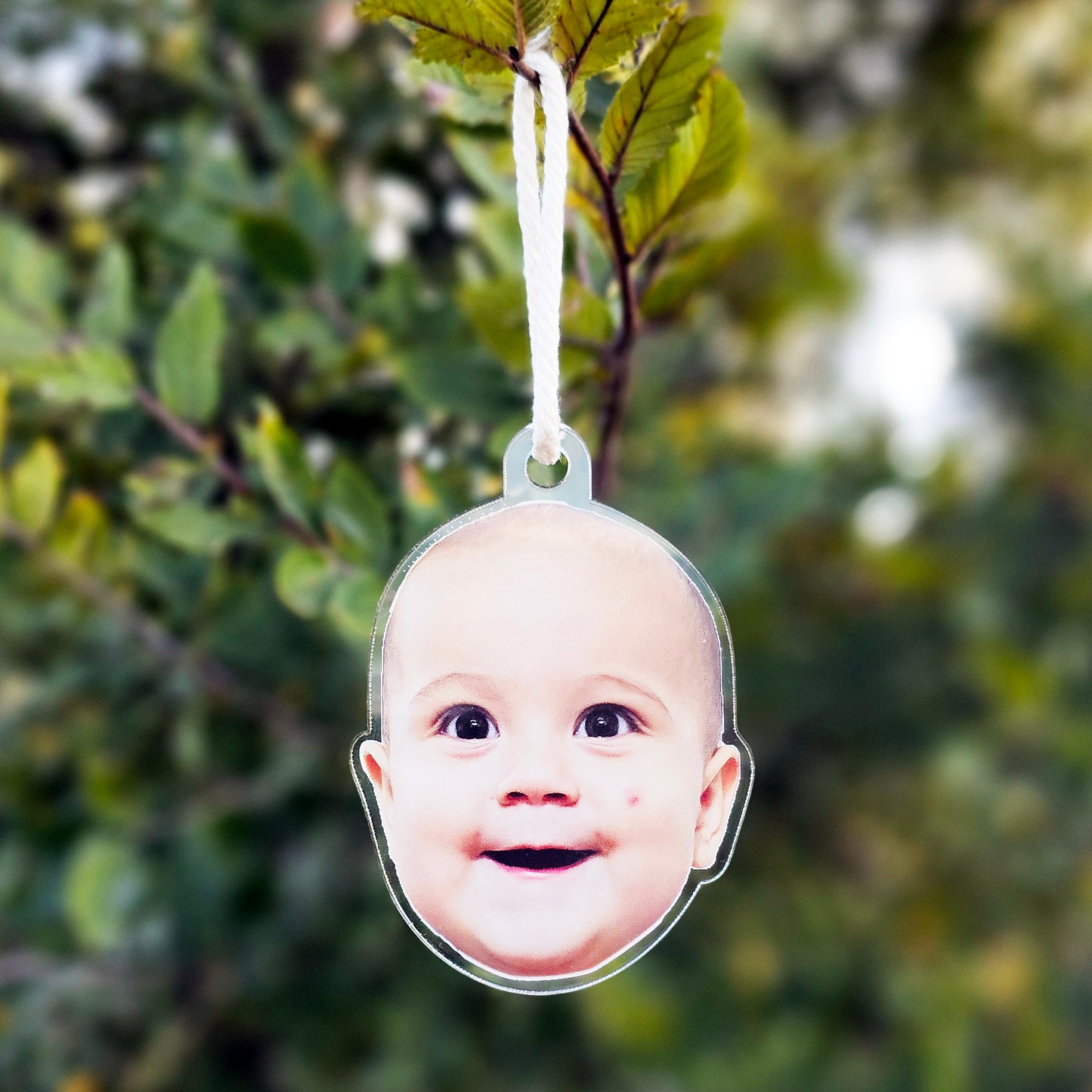 Custom Acrylic Ornament
